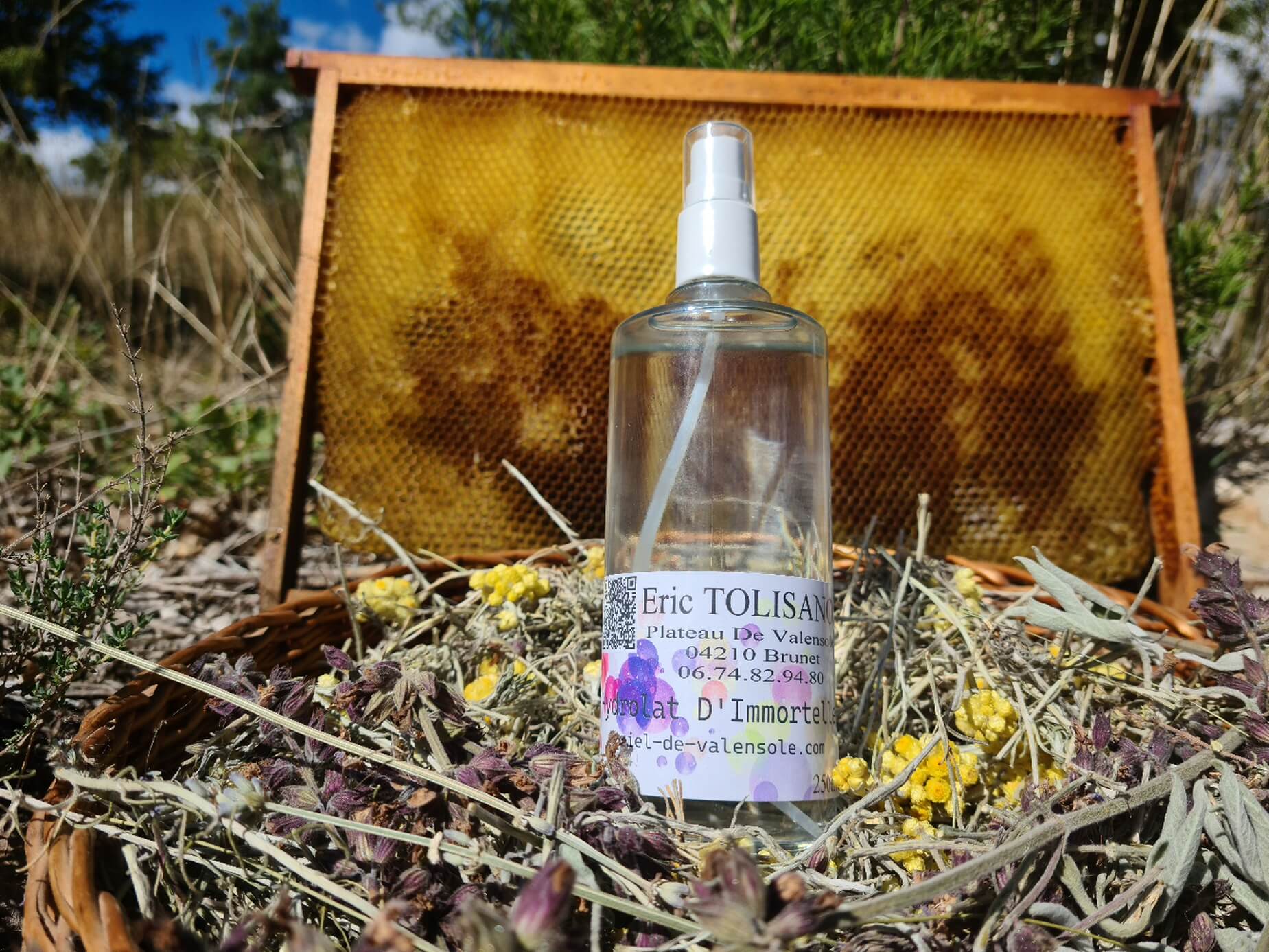 Hydrolat d'immortelle