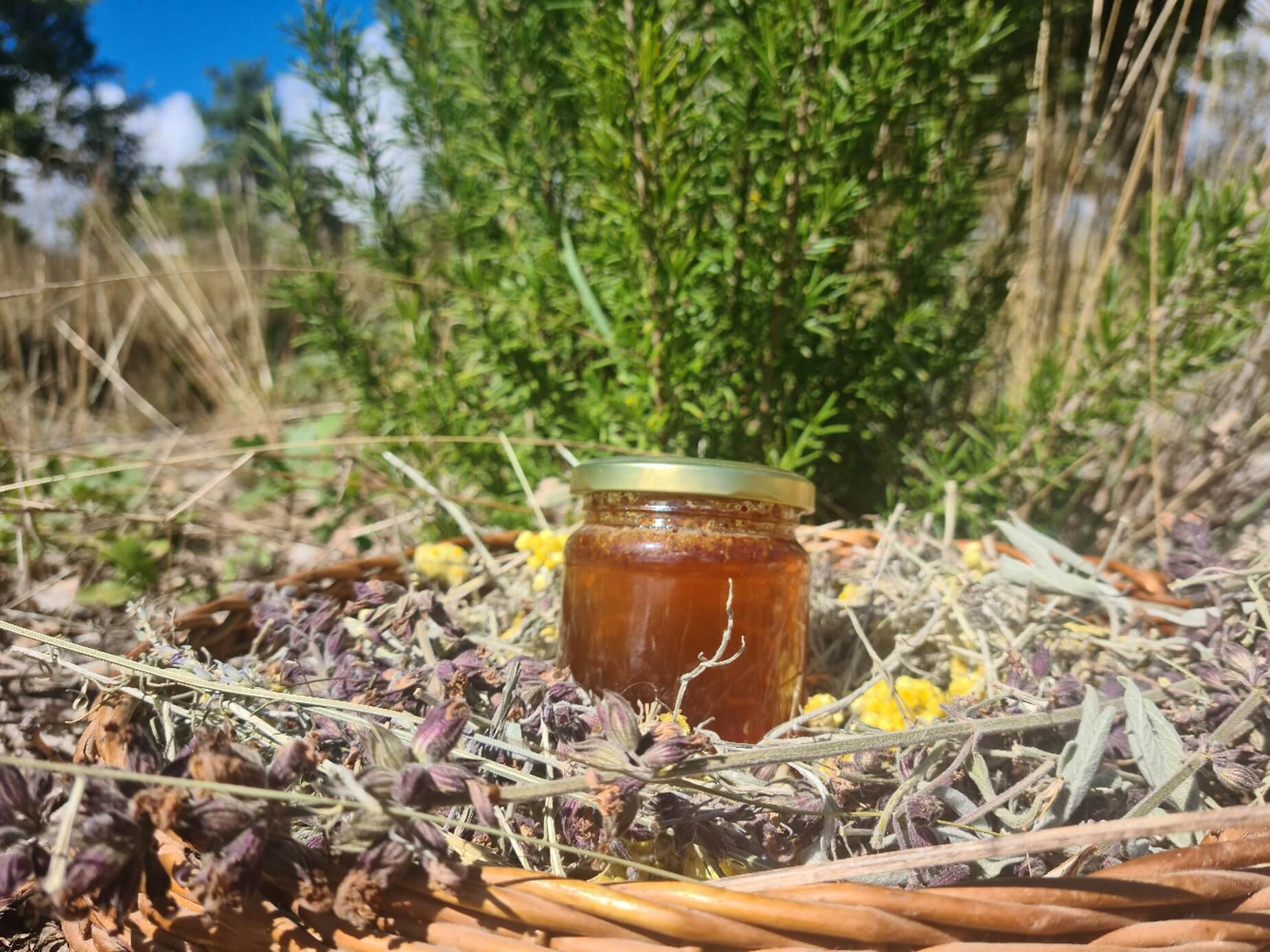 Miel au Piment d'Espelette